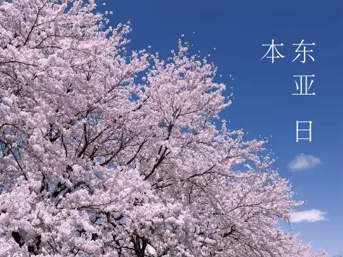 高中地理高二优质课东亚和日本ppt课件