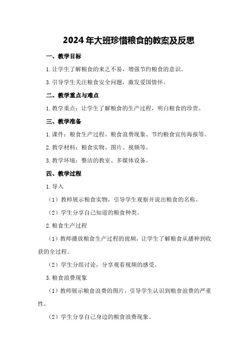 2024年大班珍惜粮食的教案及反思