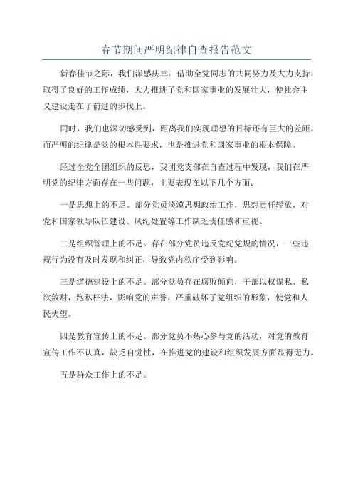 春节期间严明纪律自查报告范文