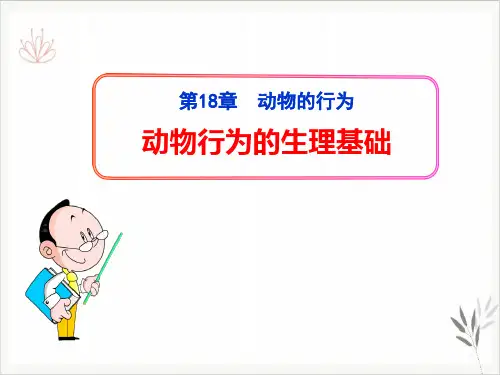 动物行为的生理基础课件ppt