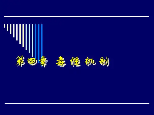 第四章毒性机制详解