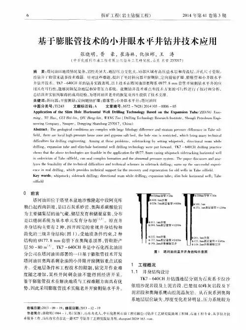 基于膨胀管技术的小井眼水平井钻井技术应用
