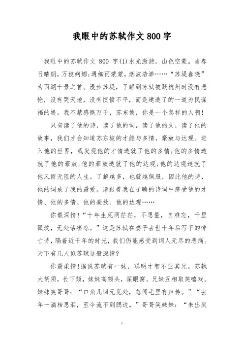 优秀作文：我眼中的苏轼作文800字