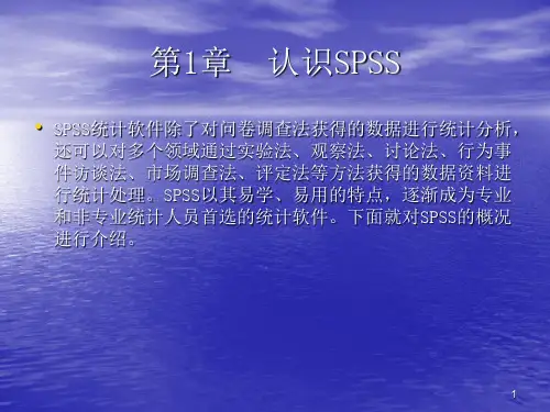 第1章认识SPSS