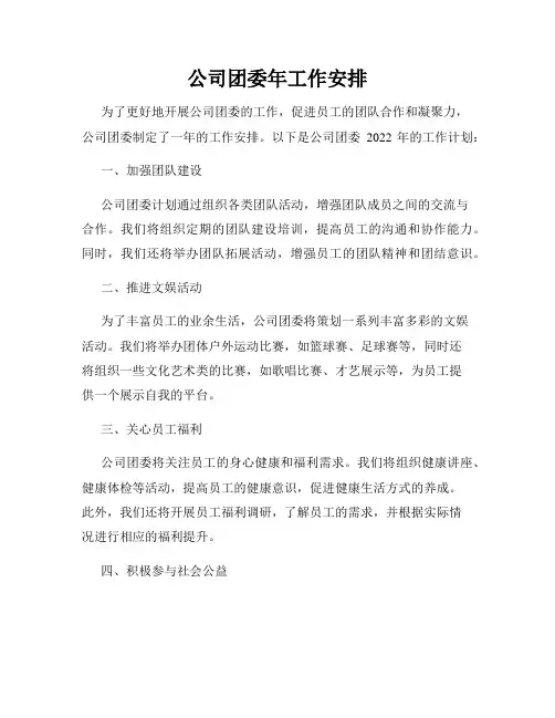 公司团委年工作安排
