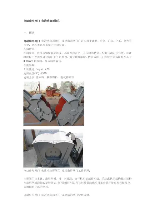 电动扇形闸门