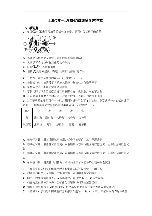 上海市高一上学期生物期末试卷(有答案)