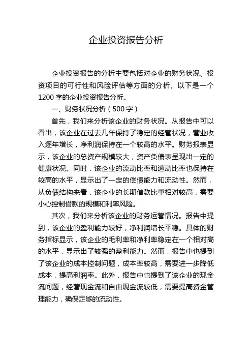 企业投资报告分析