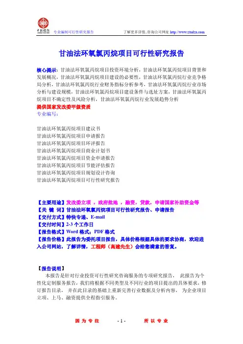 甘油法环氧氯丙烷项目可行性研究报告