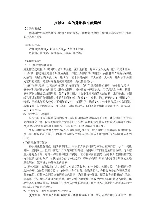 实验3  鱼的外形和内部解剖