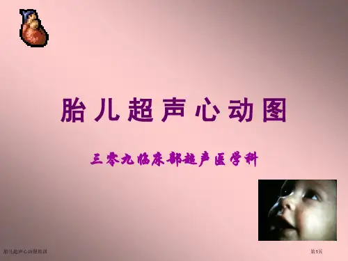 胎儿超声心动图培训专家讲座