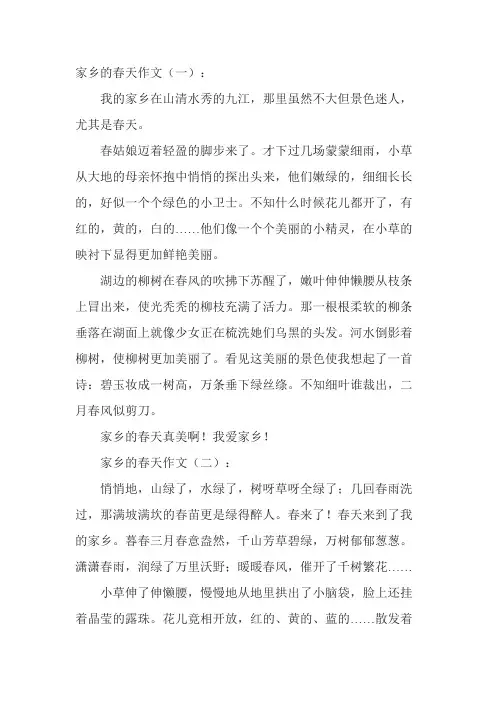 家乡春天真美作文