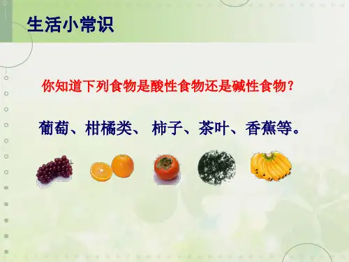 第1章探索物质的变化复习PPT课件(初中科学)
