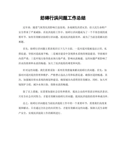 妨碍行洪问题工作总结