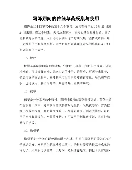 霜降期间的传统草药采集与使用