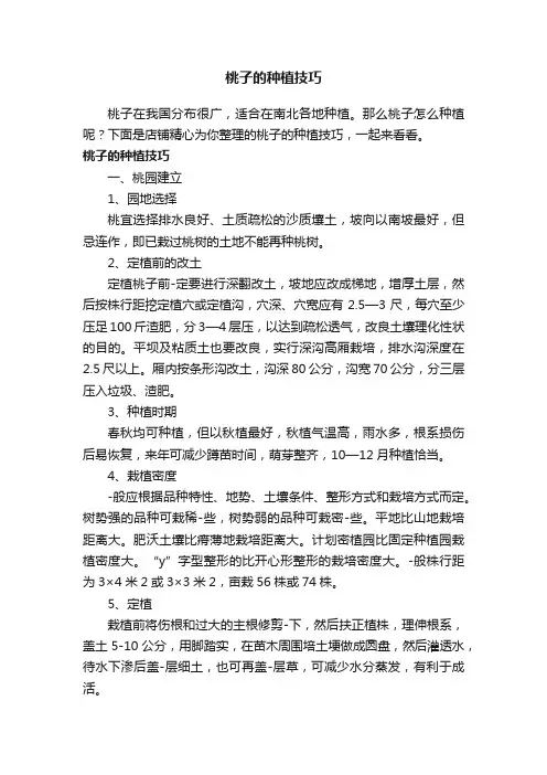 桃子的种植技巧