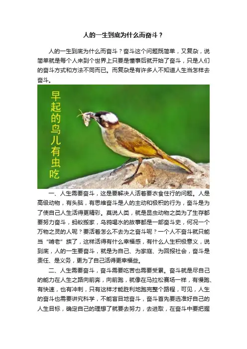 人的一生到底为什么而奋斗？