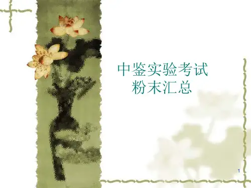 中药鉴定学实验粉末图片PPT医学课件