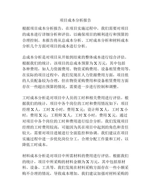 项目成本分析报告