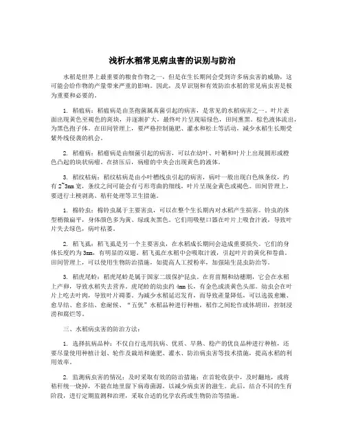 浅析水稻常见病虫害的识别与防治