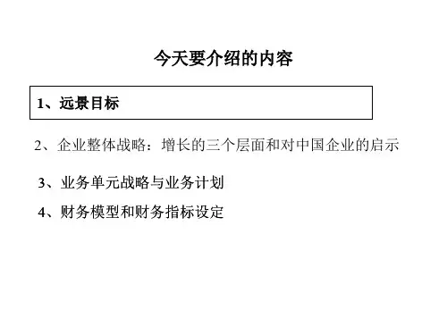 013麦肯锡-战略讲稿