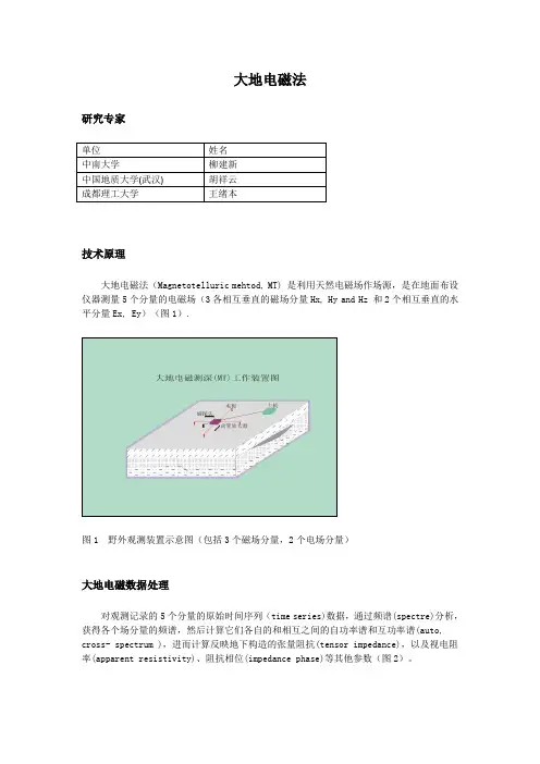 大地电磁测深法