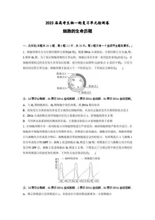 2023届高考生物一轮复习单元检测卷-细胞的生命历程