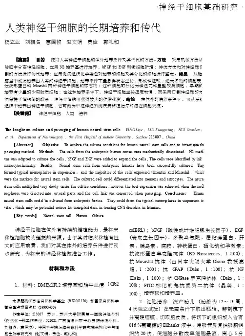 人类神经干细胞的长期培养和传代_cropped