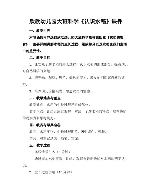 欣欣幼儿园大班科学《认识水稻》课件