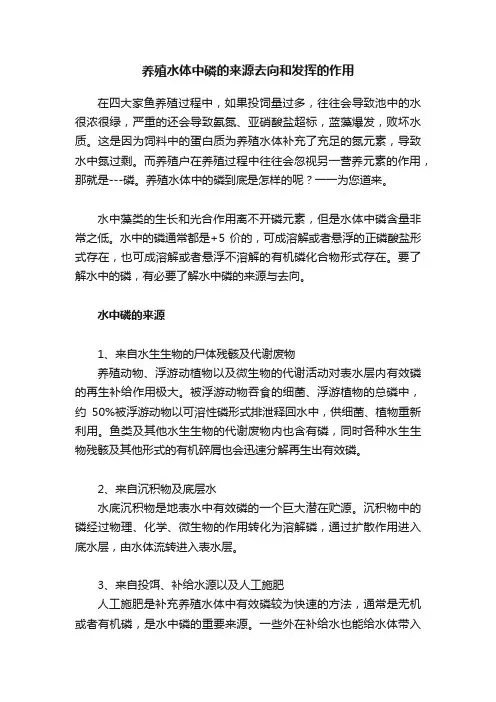 养殖水体中磷的来源去向和发挥的作用