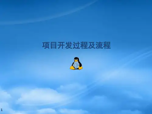 项目开发流程及过程