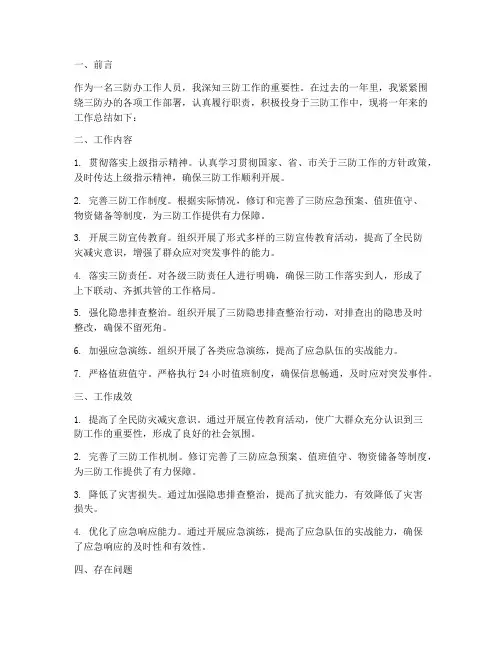 三防办工作个人工作总结