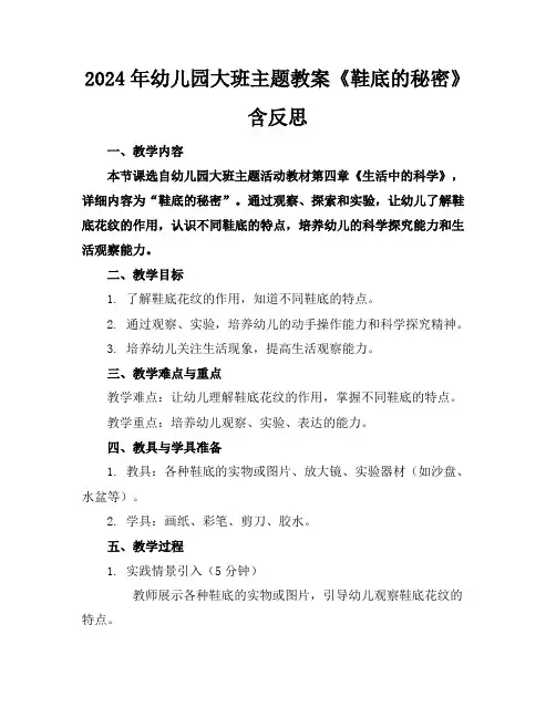2024年幼儿园大班主题教案《鞋底的秘密》含反思