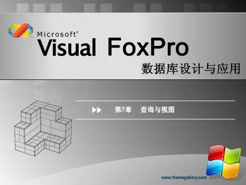 VF教程第5章查询与视图
