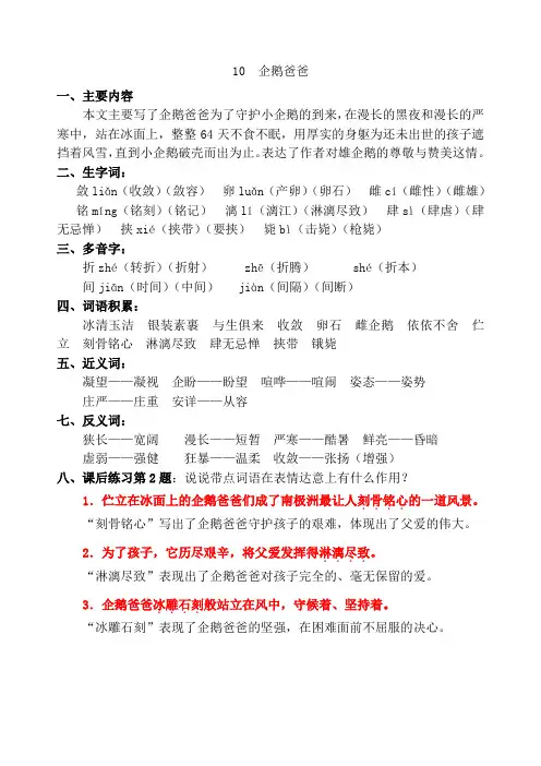 10 企鹅爸爸
