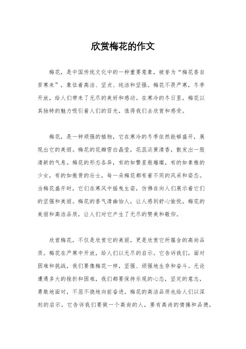 欣赏梅花的作文