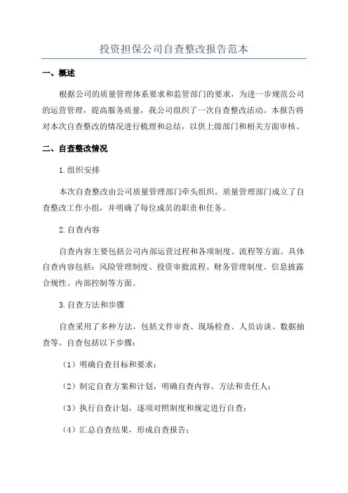 投资担保公司自查整改报告范本