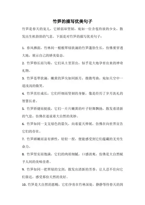 竹笋的描写优美句子