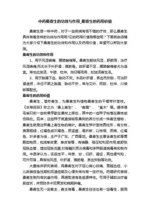 中药桑寄生的功效与作用_桑寄生的药用价值