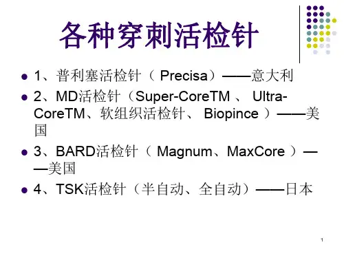 各种穿刺活检针ppt课件