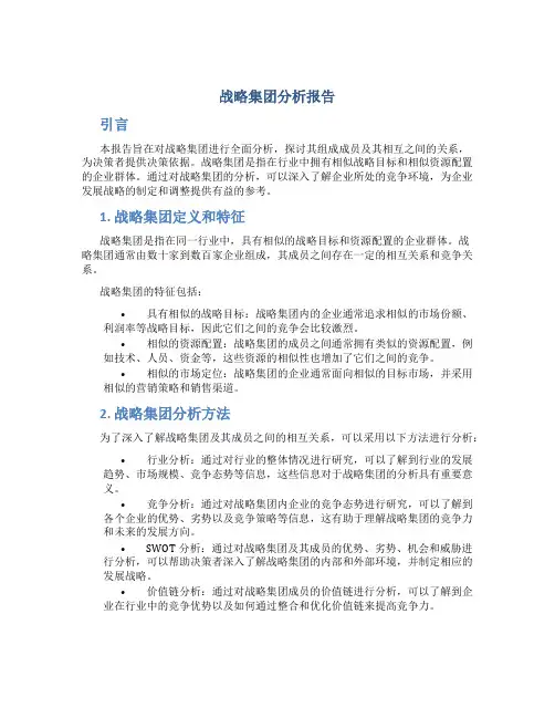 战略集团分析报告