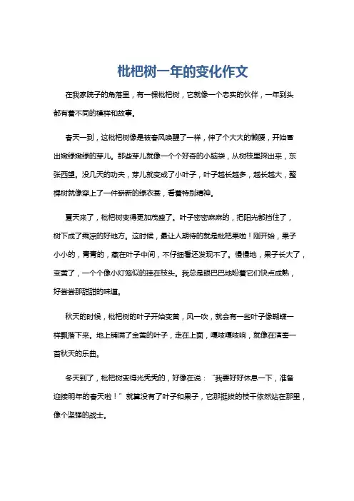 枇杷树一年的变化作文