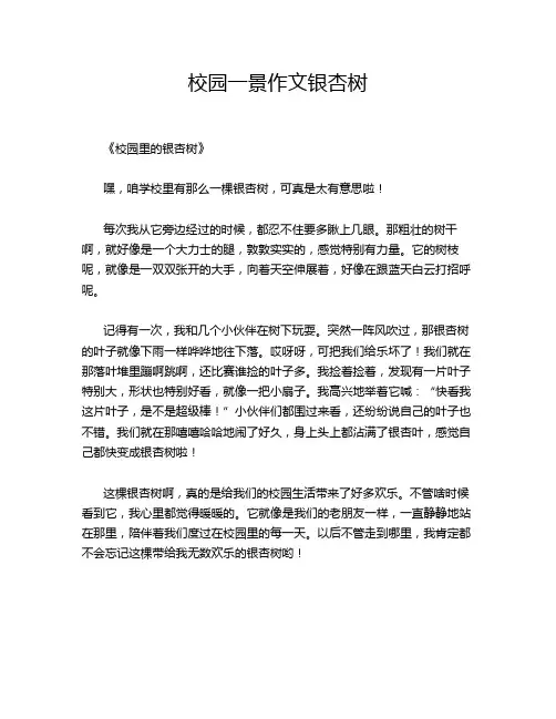 校园一景作文银杏树