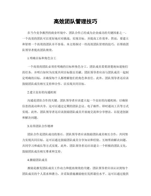 高效团队管理技巧