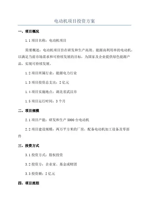 电动机项目投资方案