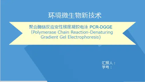 PCR-DGGE技术