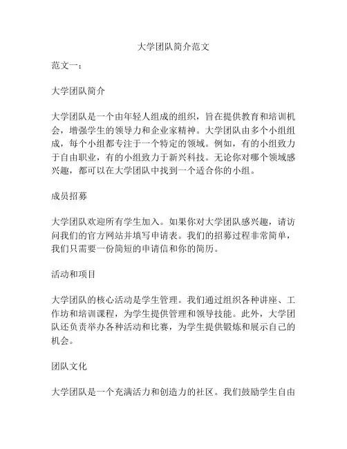 大学团队简介范文