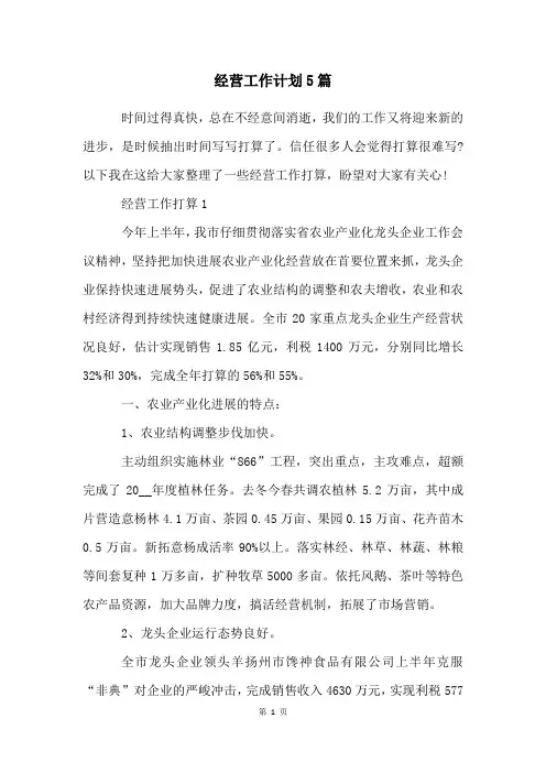 经营工作计划5篇
