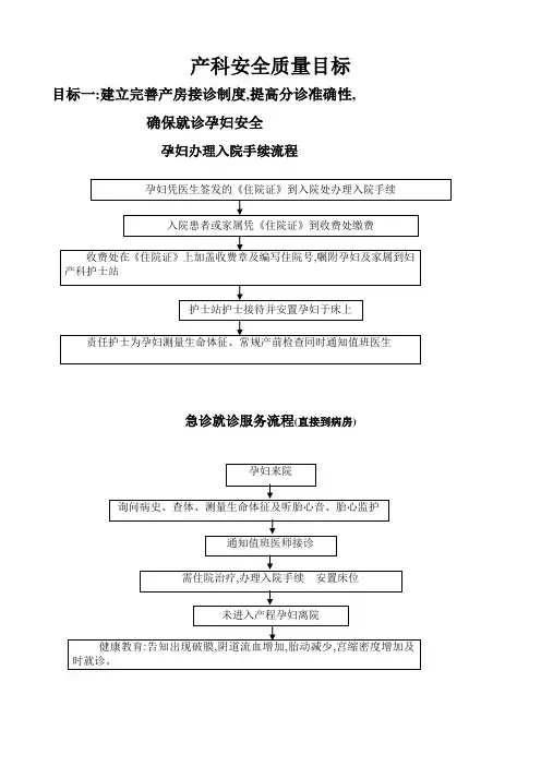 产科十大安全目标的指引与流程51689