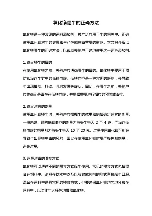 氧化镁喂牛的正确方法